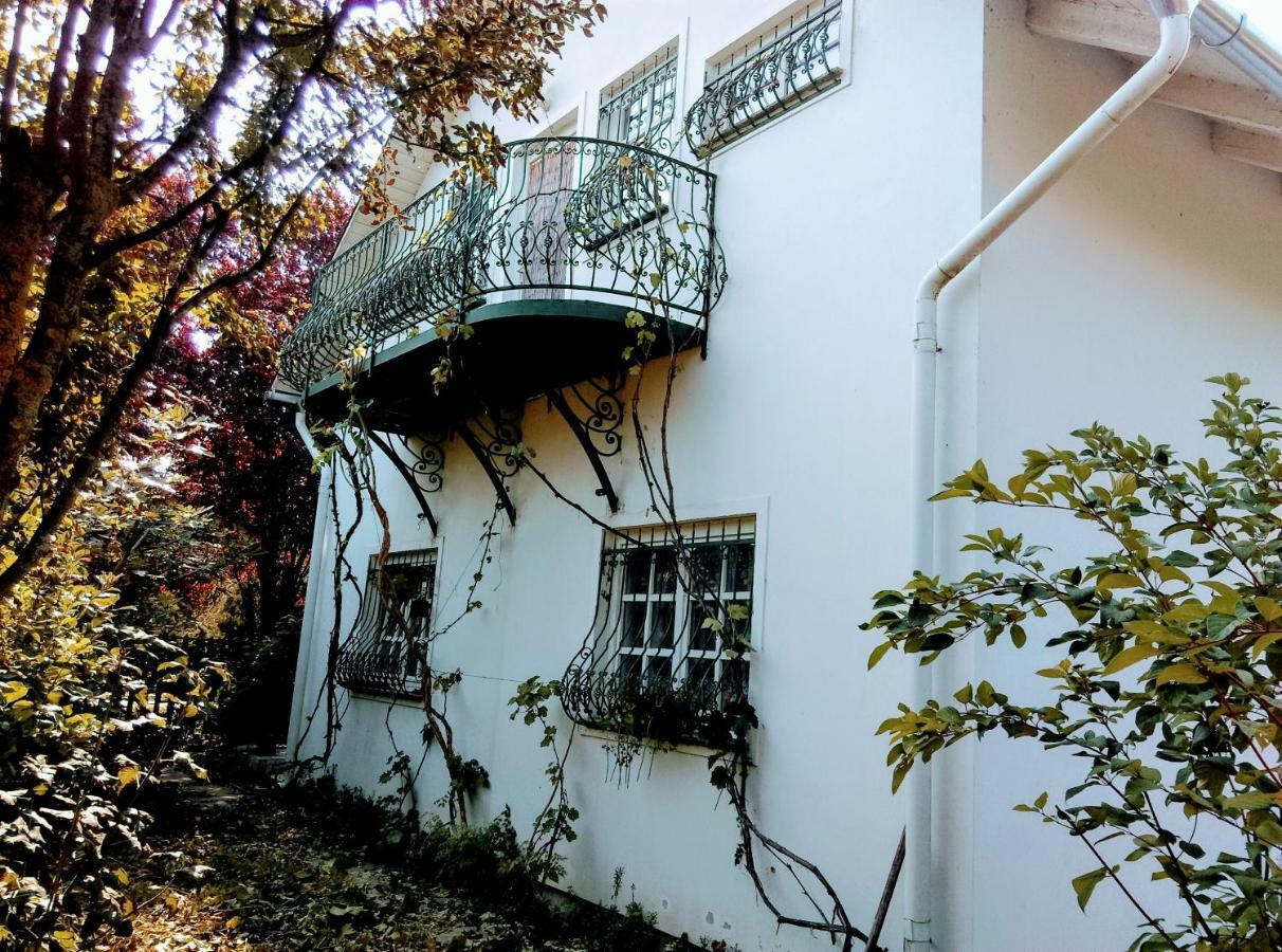 Apartmán Fesztival Nyaralohaz Zamárdi Exteriér fotografie